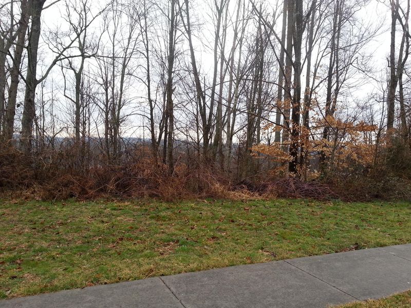 7456 Openview Ln, Corryton, TN 37721