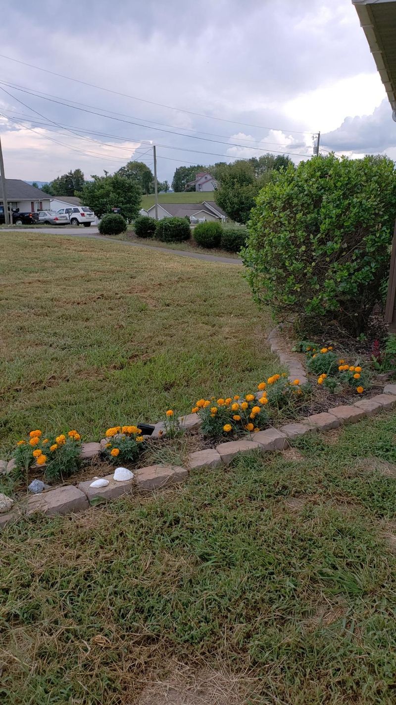 746 N Country Ln, Kodak, TN 37764
