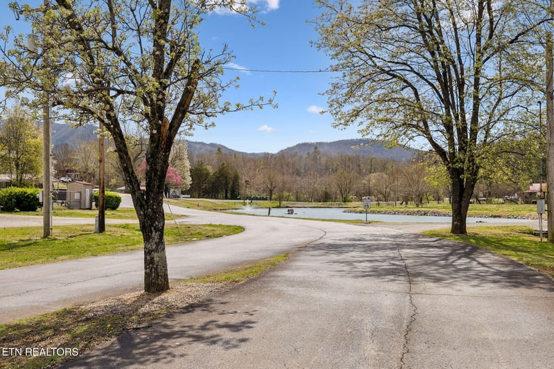 749 Big Valley Blvd, Townsend, TN 37882