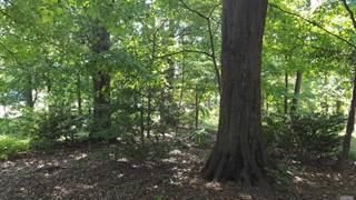 75.5 acres Rome Rd, Deer Lodge, TN 37726