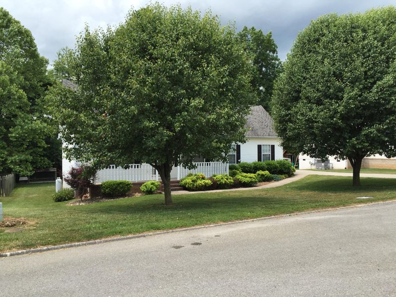 7605 Tree Bark Rd, Corryton, TN 37721