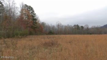 761 Petit Ln, Wartburg, TN 37887