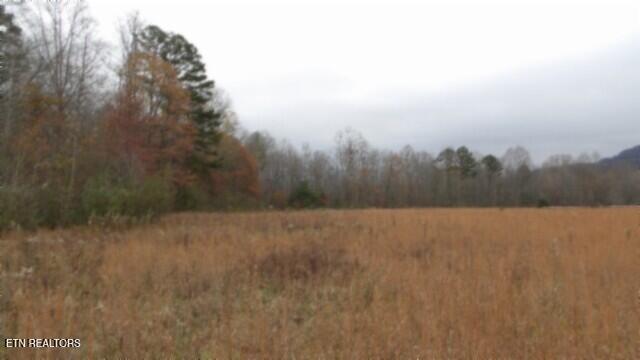 761 Petit Ln, Wartburg, TN 37887