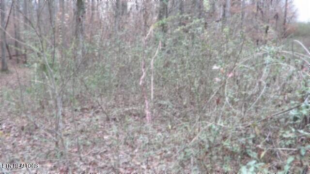 761 Petit Ln, Wartburg, TN 37887