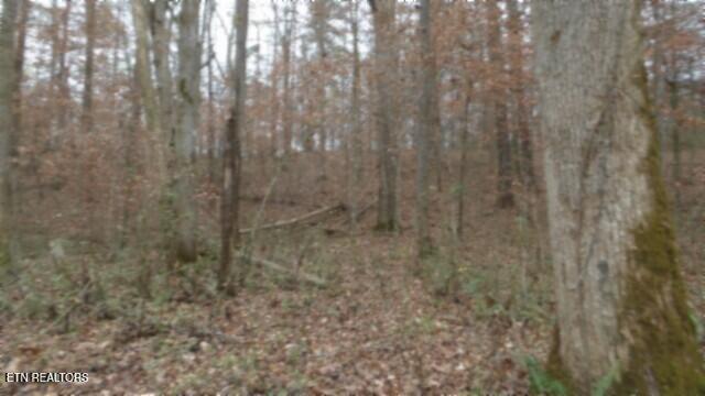 761 Petit Ln, Wartburg, TN 37887