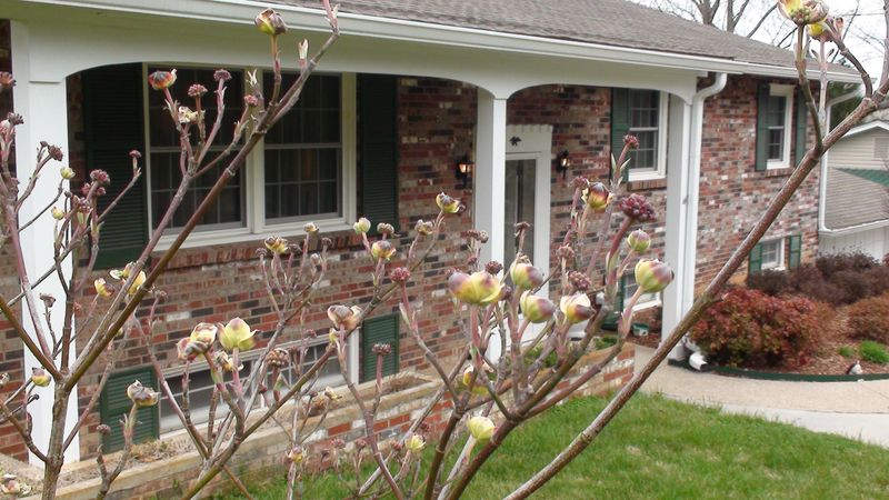 7616 Sabre Dr #2, Knoxville, TN 37919