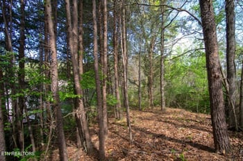 7632 Chatham Cir, Knoxville, TN 37909