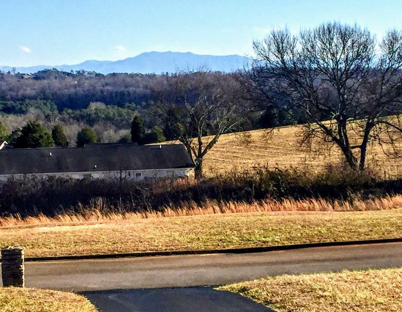 764 Tuckahoe View Tr, Kodak, TN 37764
