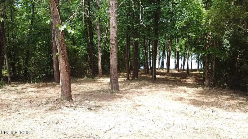 764 Wood Duck Dr, Vonore, TN 37885