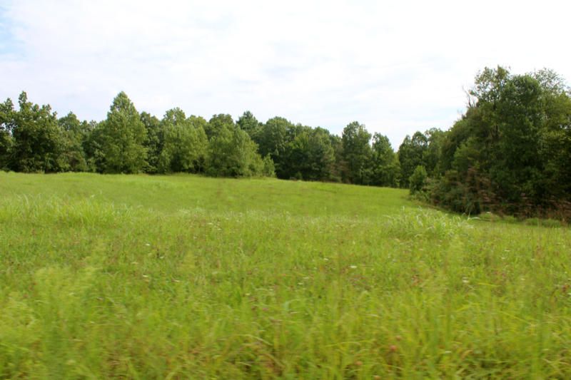 765 Black Oak Rd, Oneida, TN 37841