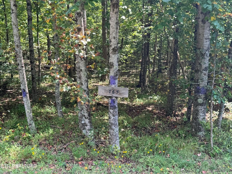 765 Poston Dr, Monterey, TN 38574