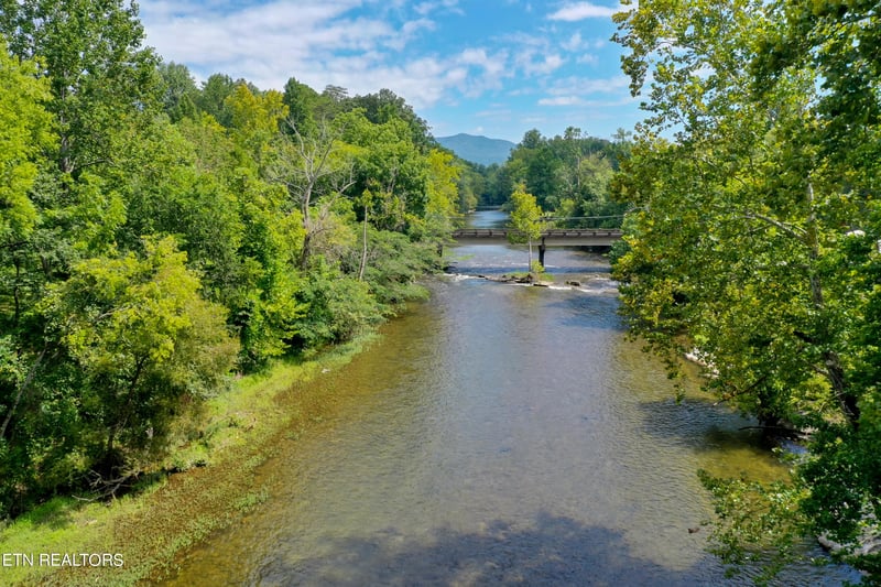 7651 E Lamar Alexander Pkwy, Townsend, TN 37882