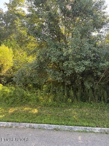 7659 Pennyroyal Dr, Knoxville, TN 37920