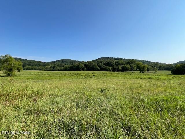 7662 Haws Rd #3, Knoxville, TN 37920