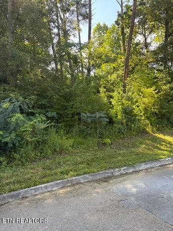 7665 Pennyroyal Dr, Knoxville, TN 37920
