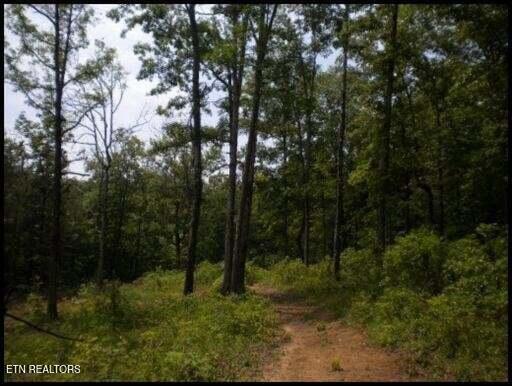 7681 Highway 68, Madisonville, TN 37354