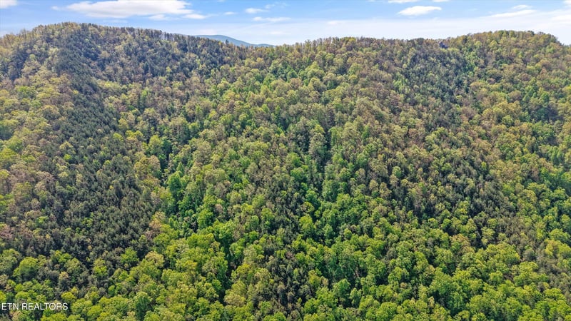 77 - 1-2 Chilhowee Tr, Maryville, TN 37803