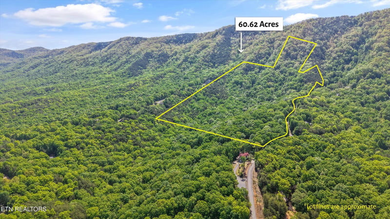 77 - 1-2 Chilhowee Tr, Maryville, TN 37803