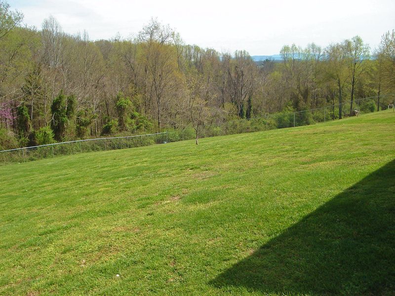 770 Ronald Dr, Talbott, TN 37877