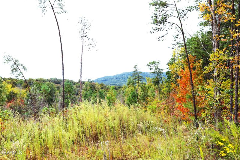 770 Shaddon Rd, Tellico Plains, TN 37385