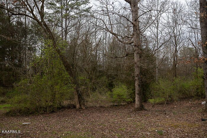 7705 Bush Ln, Knoxville, TN 37920