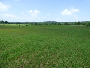 7711 Thompson School Rd, Corryton, TN 37721