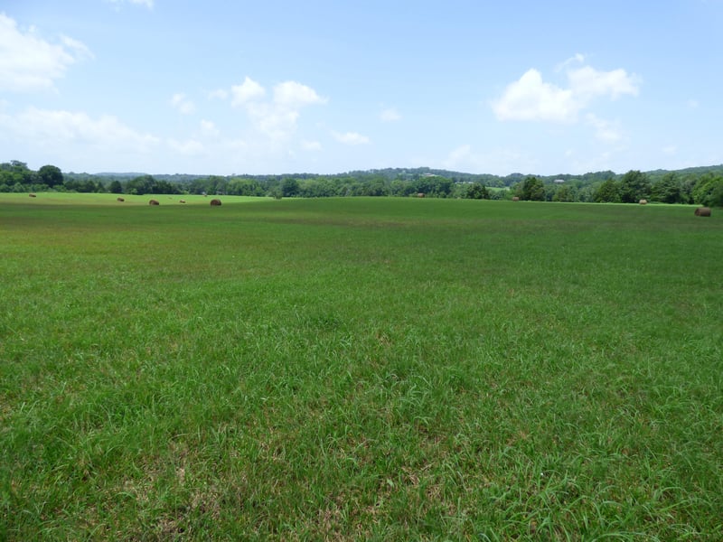 7711 Thompson School Rd, Corryton, TN 37721