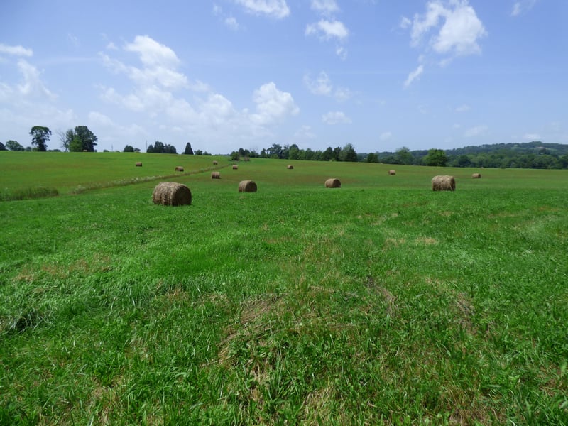 7711 Thompson School Rd, Corryton, TN 37721