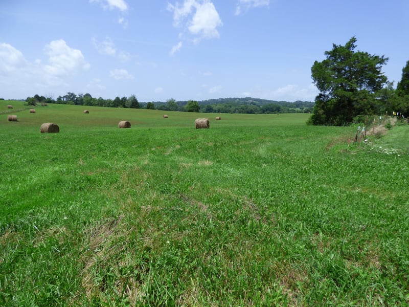 7711 Thompson School Rd, Corryton, TN 37721