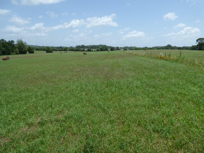7711 Thompson School Rd, Corryton, TN 37721