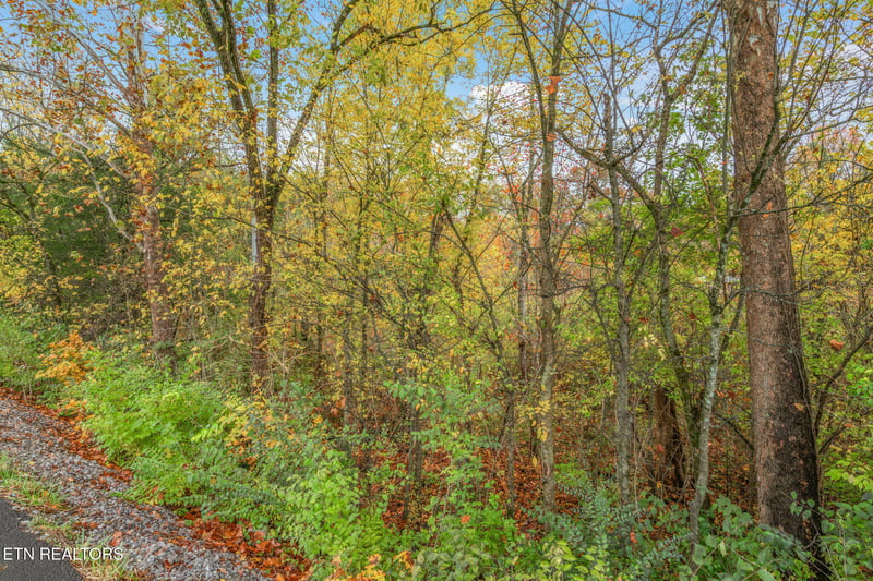 7716 Strawberry Plains Pike, Knoxville, TN 37924