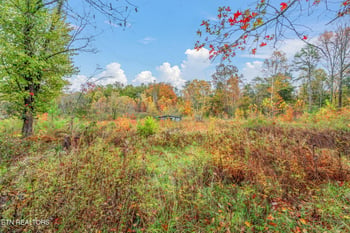 7716 Strawberry Plains Pike, Knoxville, TN 37924