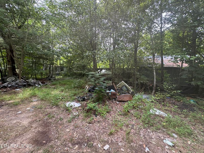 77167720 Bell Stanley Rd, Powell, TN 37849