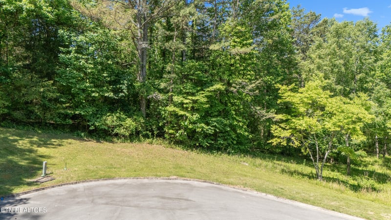 772 Wood Duck Dr, Vonore, TN 37885