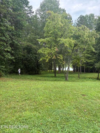 772 Wood Duck Dr, Vonore, TN 37885