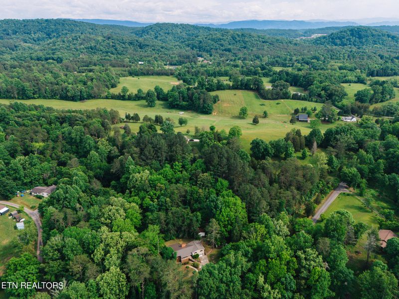7732 Davis Rd, Knoxville, TN 37920