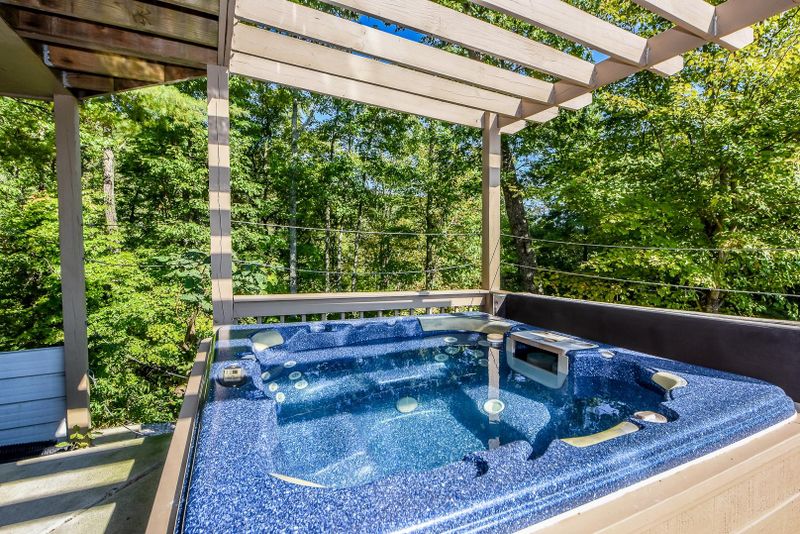 774 Blueberry Ln, Townsend, TN 37882