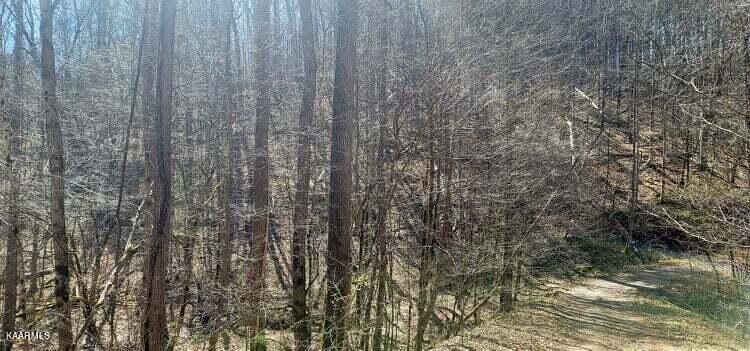 776 Boiling Springs Rd, Vonore, TN 37885