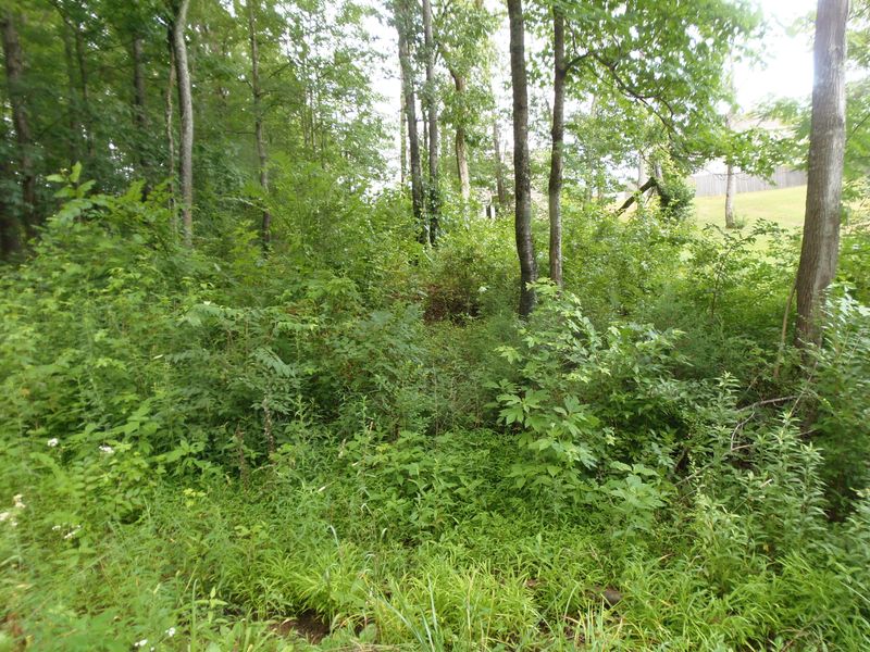 7807 Stanley Rd, Powell, TN 37849