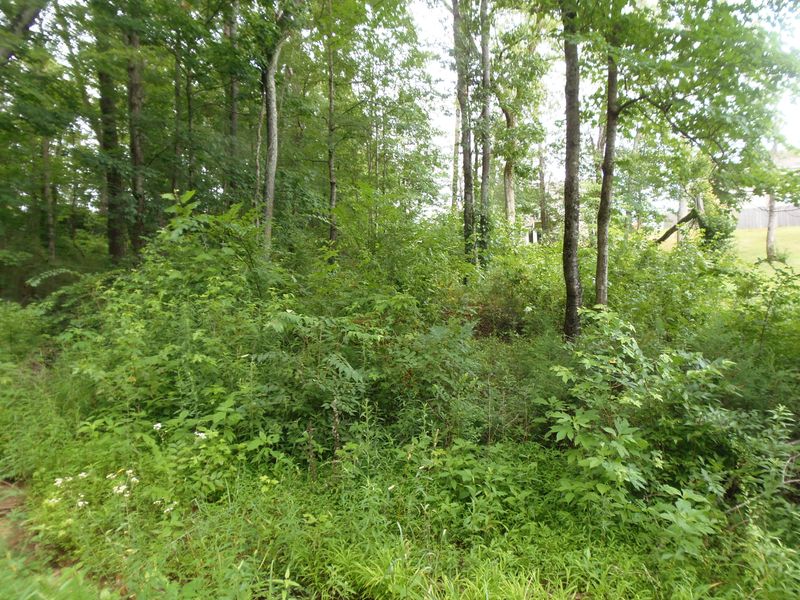7807 Stanley Rd, Powell, TN 37849