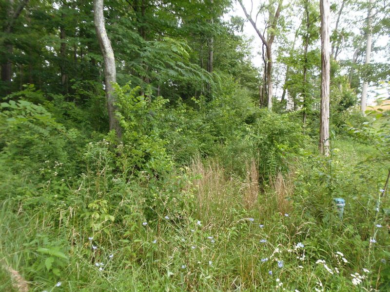 7807 Stanley Rd, Powell, TN 37849