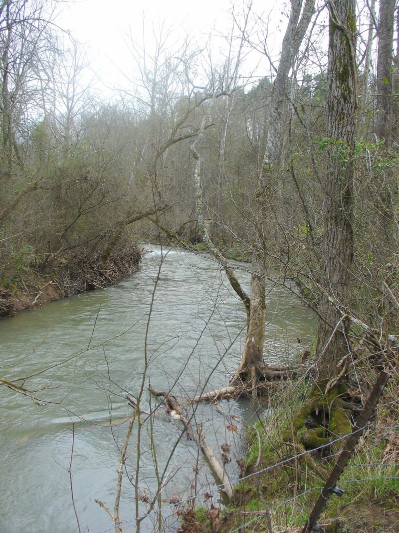 781 Flat Creek Rd, Sevierville, TN 37876