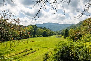 7814 E Lamar Alexander Pkwy, Townsend, TN 37882