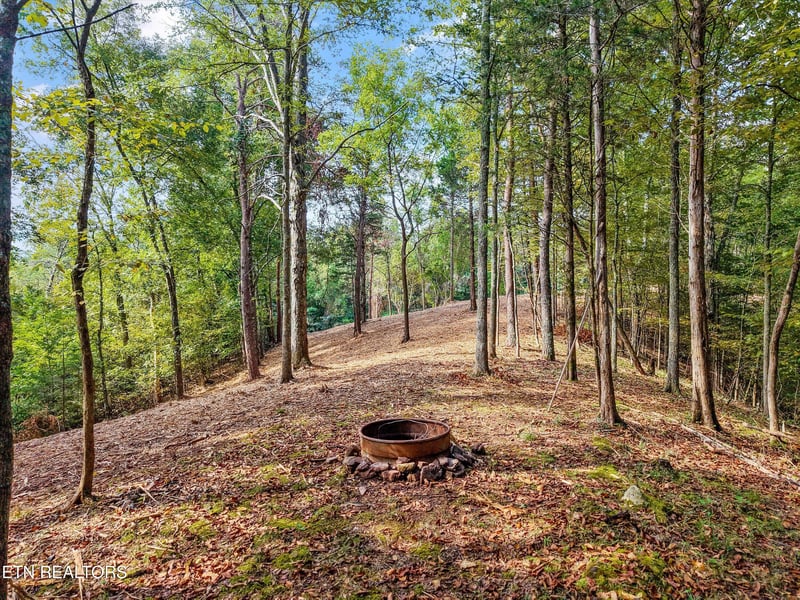 7826 Swaggerty Rd, Knoxville, TN 37920