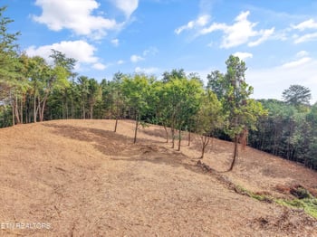 7826 Swaggerty Rd, Knoxville, TN 37920