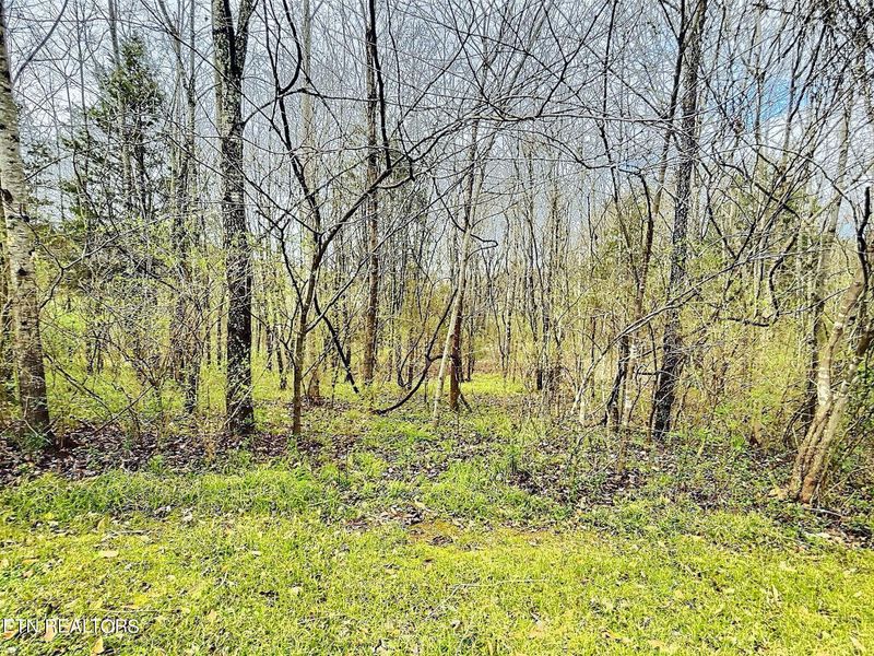 7827 E Lamar Alexander Pkwy, Townsend, TN 37882