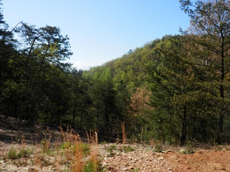 783 Rafter Rd, Tellico Plains, TN 37385