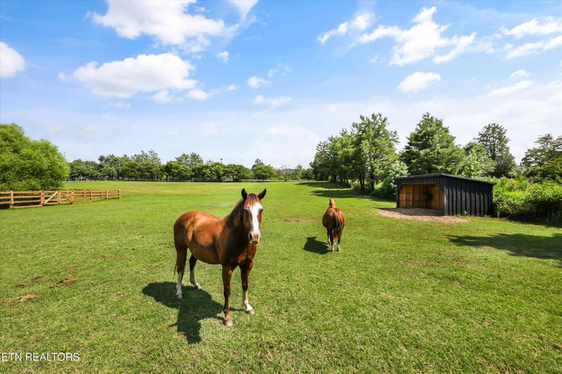 7876 Hines Valley Rd, Lenoir City, TN 37771