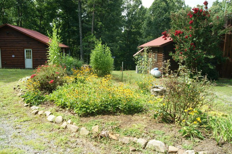 788 Cooper Hollow Rd, Tellico Plains, TN 37385