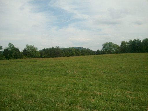 7904 Lucky Ln, Corryton, TN 37721